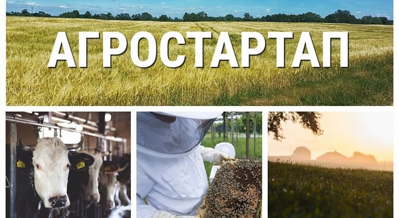 От полутора до семи миллионов рублей могут получить жители области на стартапы в агробизнесе