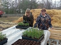 В лесах Саратовской области высадили почти 8,5 млн саженцев в рамках продолжающейся весенней кампании. Работы ведутся на территории всех 25 лесничеств региона. Высажено 2150 из запланированных 2200 гектаров