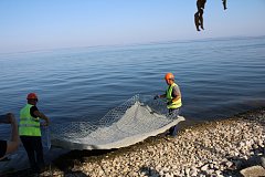 Благоустройство волжской береговой линии — важное направление развития нашего посёлка Ровное 