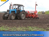 О ходе весенних полевых работ в Ровенском районе 2025