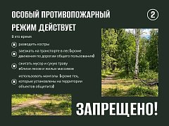 В регионе действует особый противопожарный режим   